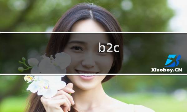 b2c b2b哪个更好