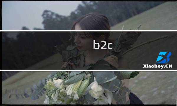 b2c b2b运营模式