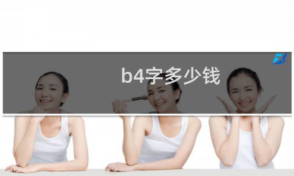 b4字多少钱