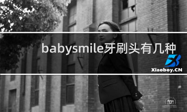 babysmile牙刷头有几种