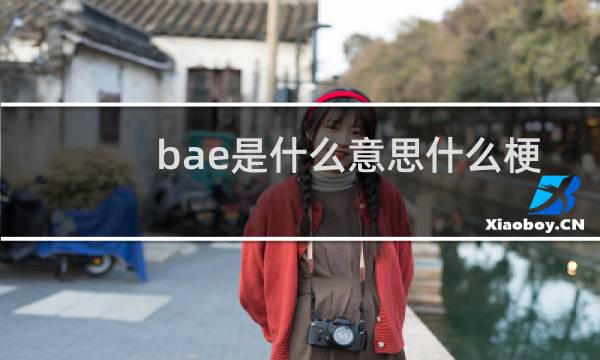 bae是什么意思什么梗