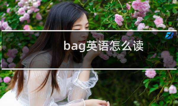 bag英语怎么读