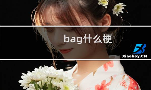 bag什么梗