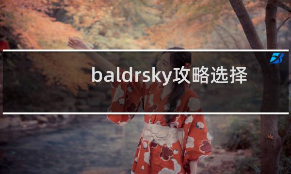 baldrsky攻略选择