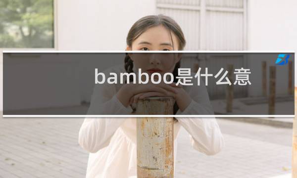 bamboo是什么意思英语翻译（bamboo是什么意思）图片