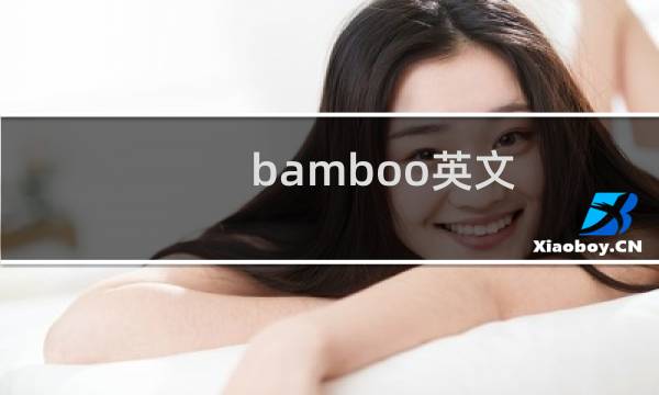 bamboo英文（bamboo可数）