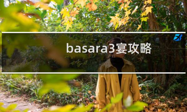 basara3宴攻略