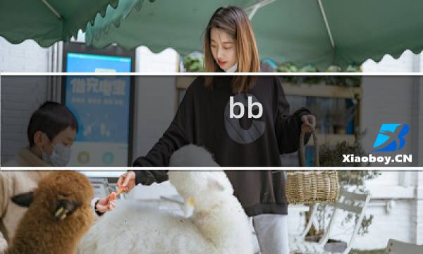 bb 攻略