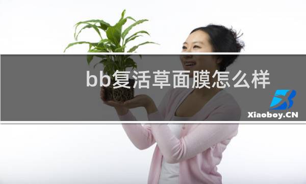 bb复活草面膜怎么样