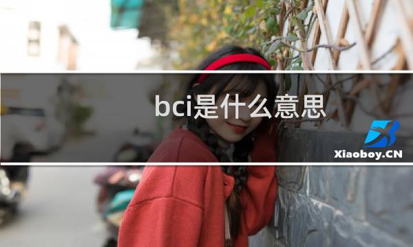 bci是什么意思