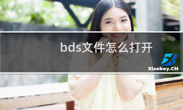 bds文件怎么打开