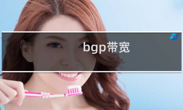 bgp带宽