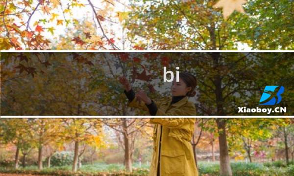 bi 数据库
