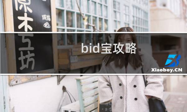 bid宝攻略