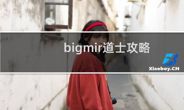 bigmir道士攻略