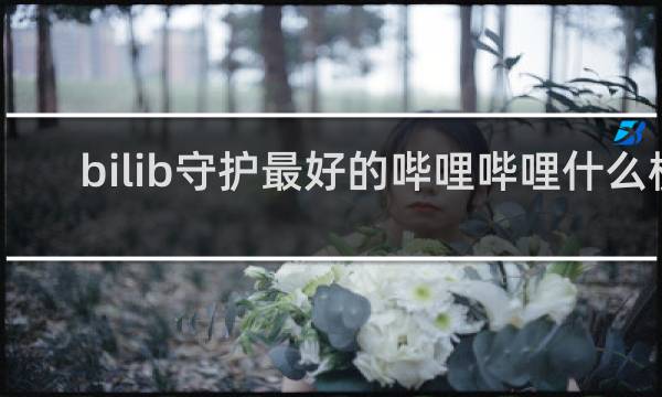 bilib守护最好的哔哩哔哩什么梗