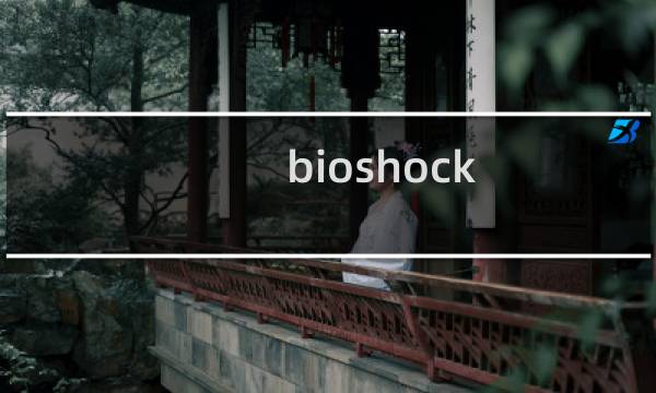 bioshock  攻略