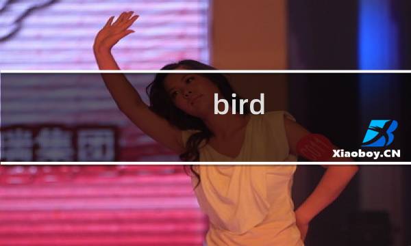 bird story 攻略