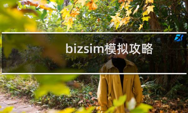 bizsim模拟攻略