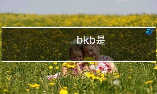 bkb是 英雄联盟为什么没有bkb什么梗
