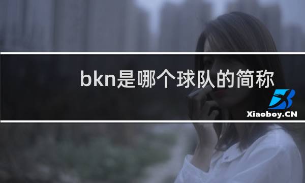 bkn是哪个球队的简称