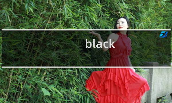 black cat攻略