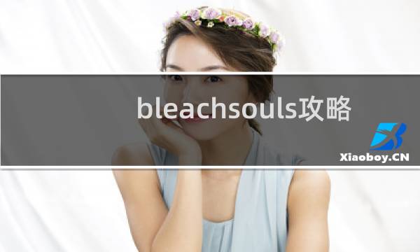 bleachsouls攻略