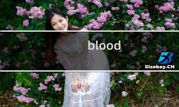 blood price 攻略