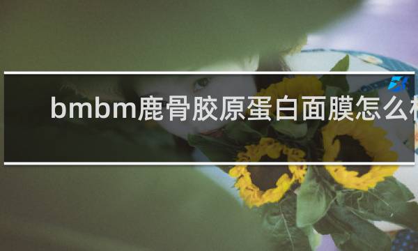bmbm鹿骨胶原蛋白面膜怎么样