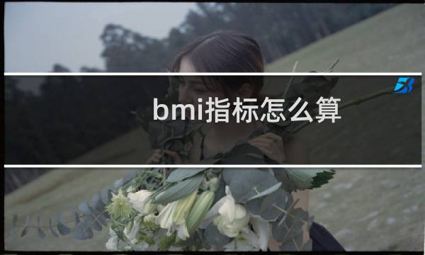 bmi指标怎么算