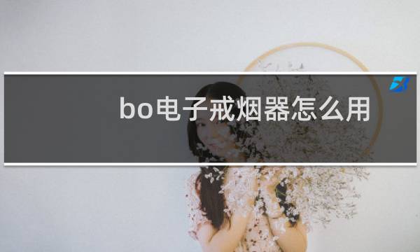 bo电子戒烟器怎么用