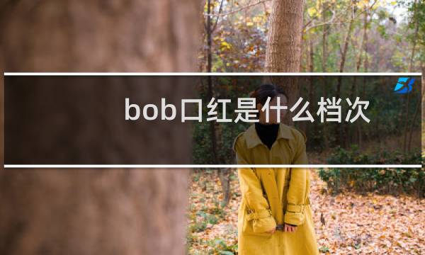 bob口红是什么档次
