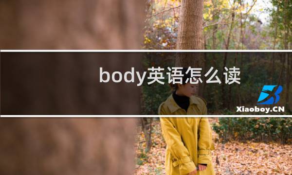 body英语怎么读