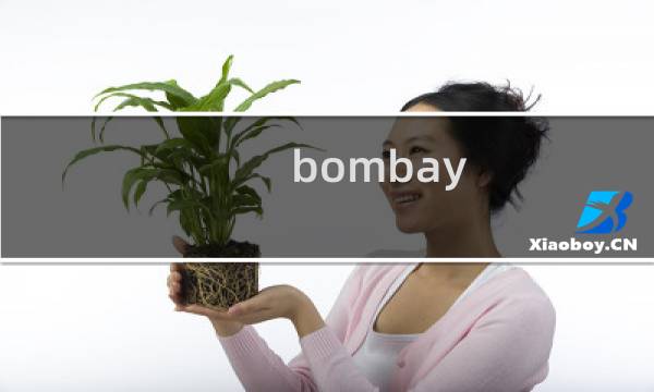 bombay sapphire是什么酒