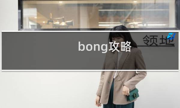 bong攻略 阵容