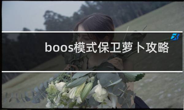 boos模式保卫萝卜攻略