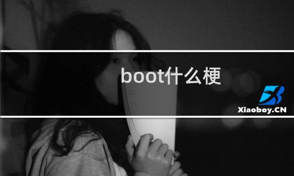 boot什么梗