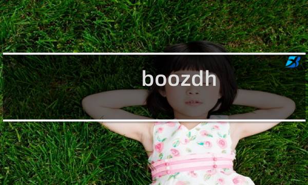 boozdh.cn  无法提交域名备案