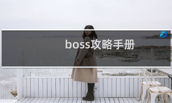 boss攻略手册