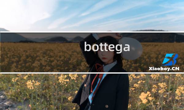 bottega veneta是什么牌子
