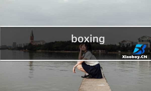 boxing star攻略