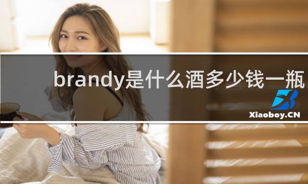 brandy是什么酒多少钱一瓶