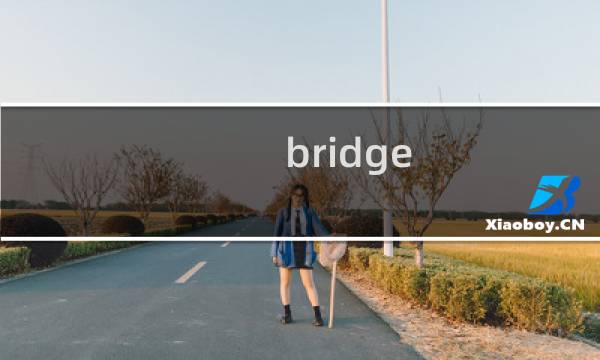 bridge 商战攻略