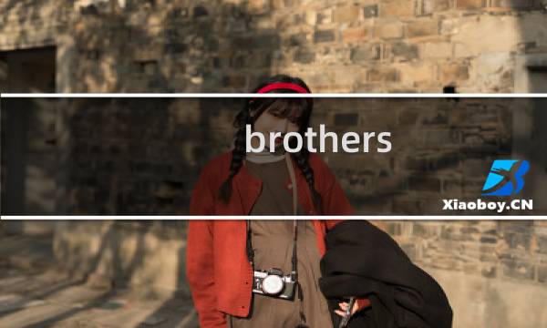 brothers 双子 攻略