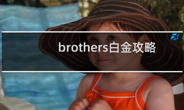 brothers白金攻略