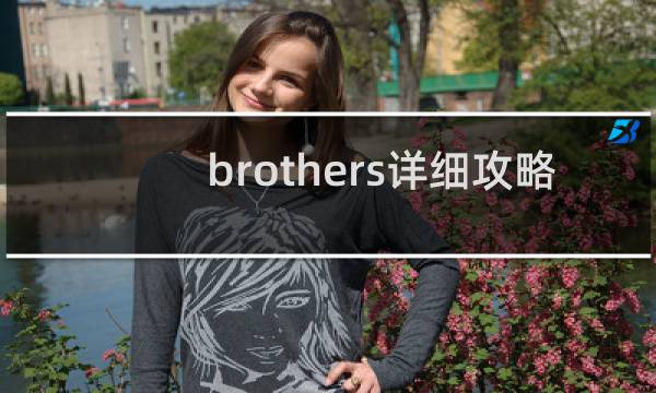 brothers详细攻略