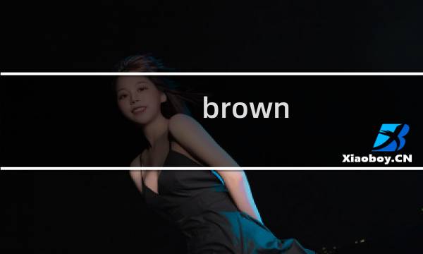 brown dust攻略