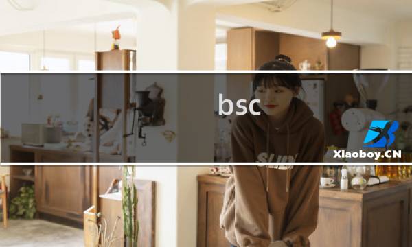 bsc图片