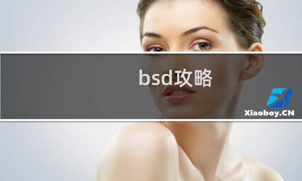 bsd攻略