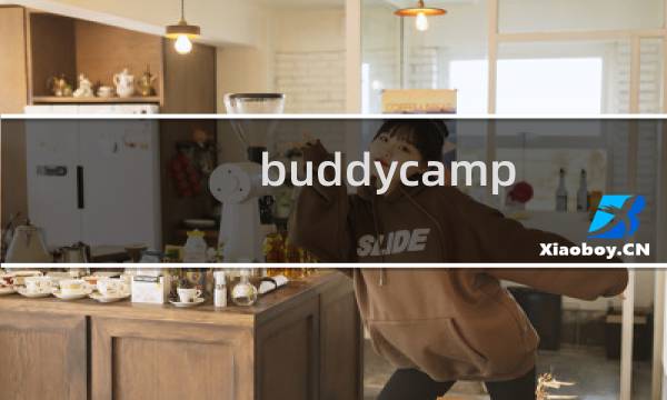 buddycamp 2.0攻略
